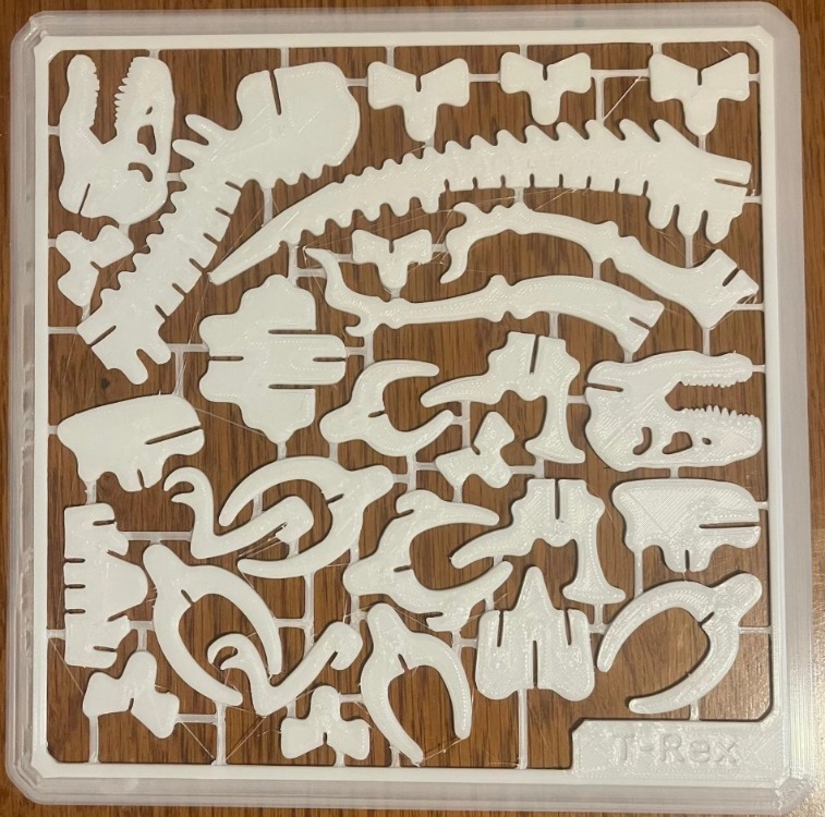 t-rex maketi