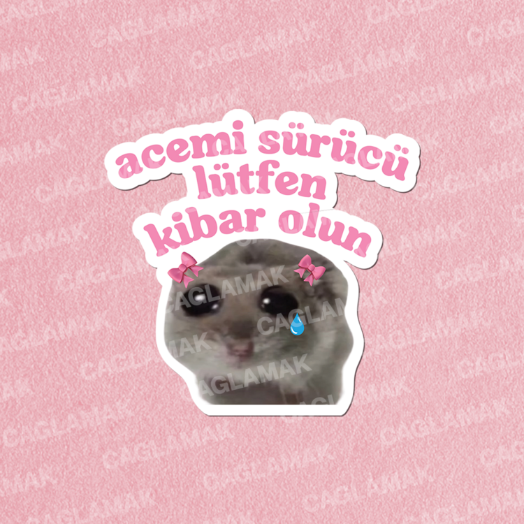 Acemi Sürücü Hamster 2 Adet