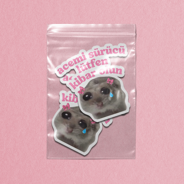 Acemi Sürücü Hamster 2 Adet