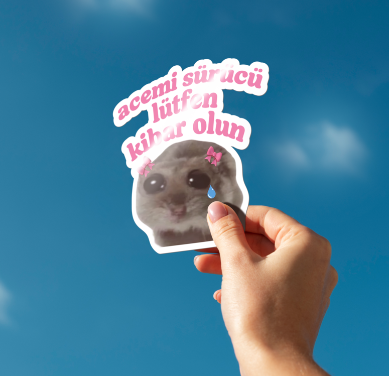 Acemi Sürücü Hamster 2 Adet