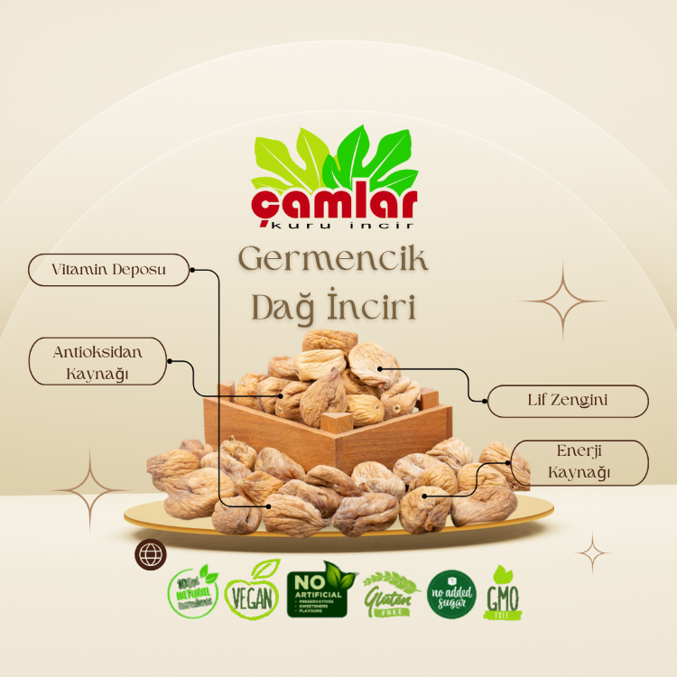 Çamlar Aydın Germencik Dağ İnciri ( SEÇMELİ )