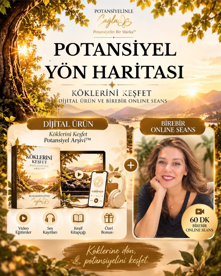 Potansiyel Yön Haritası