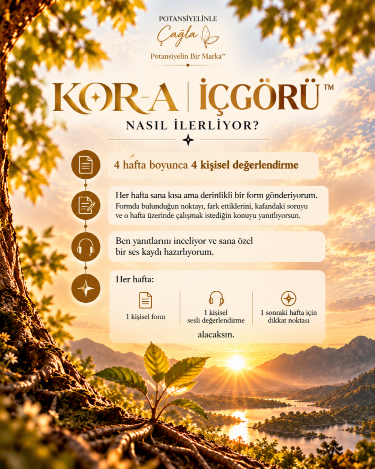 İÇGÖRÜ 4- Sana Özel Ses Kayıtları 