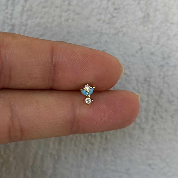 Çelik markiz Tragus