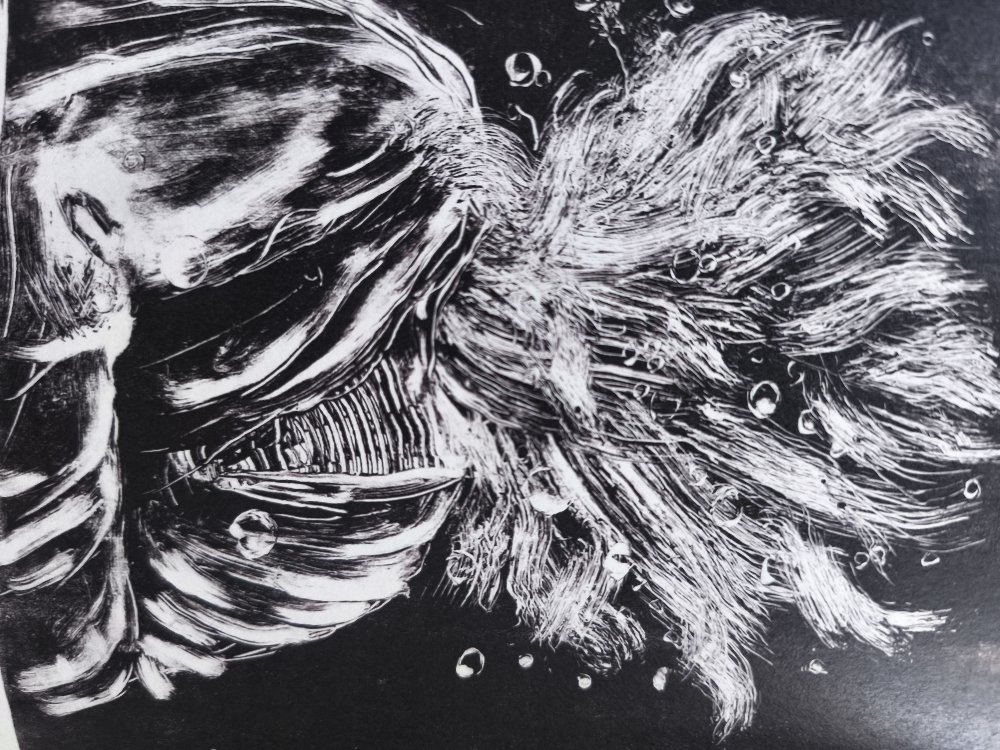 Monoprint Collection Art Zine