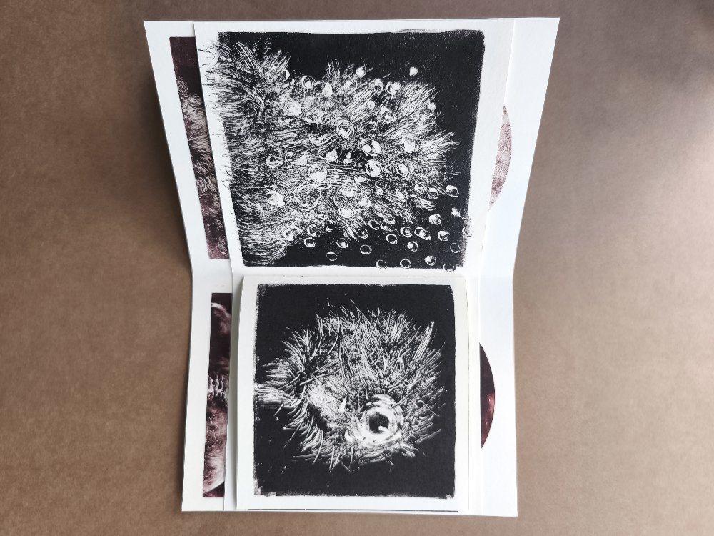Monoprint Collection Art Zine