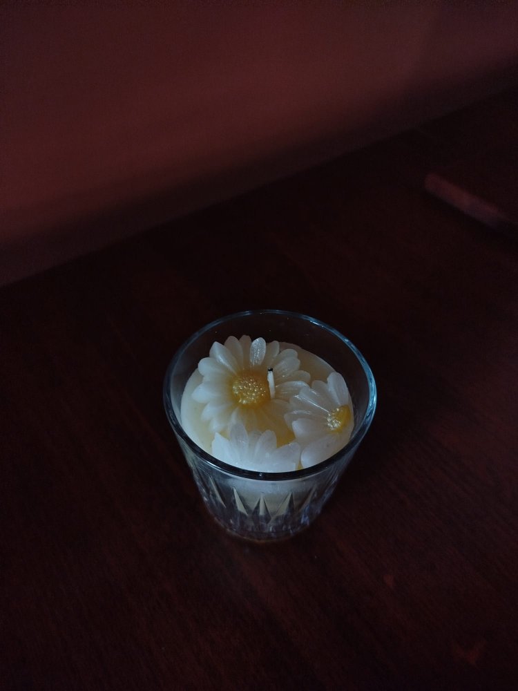 Bardak Papatya 