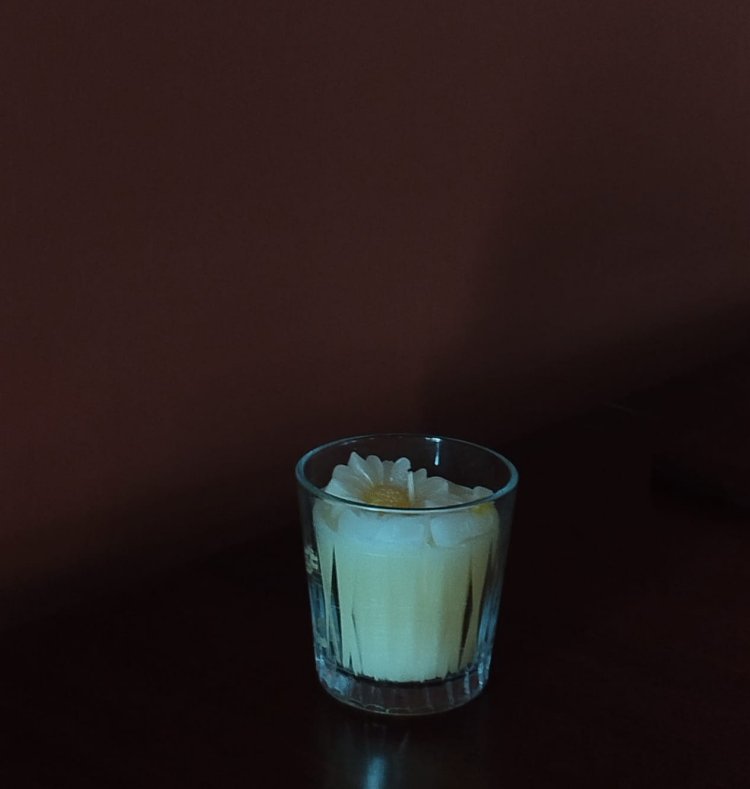 Bardak Papatya 