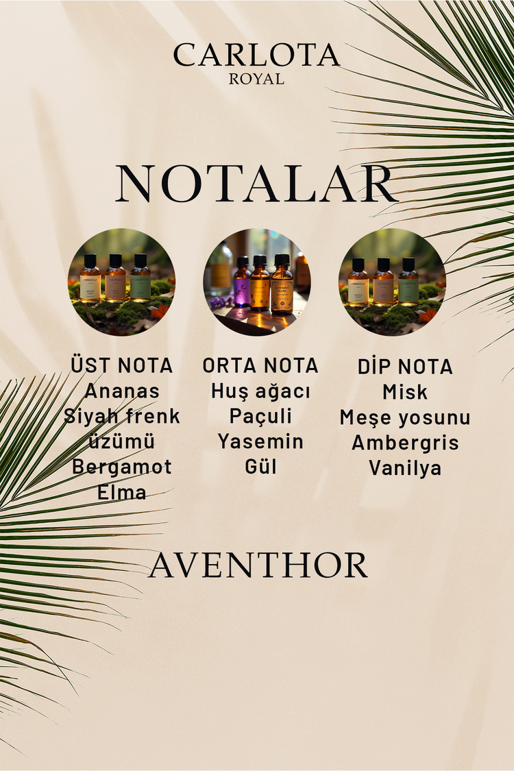 Aventhor Erkek Parfüm 50 ML