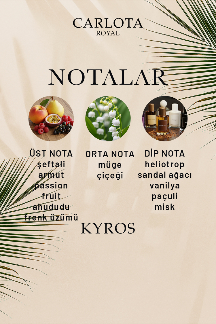 KYROS Erkek Parfüm 50 ML