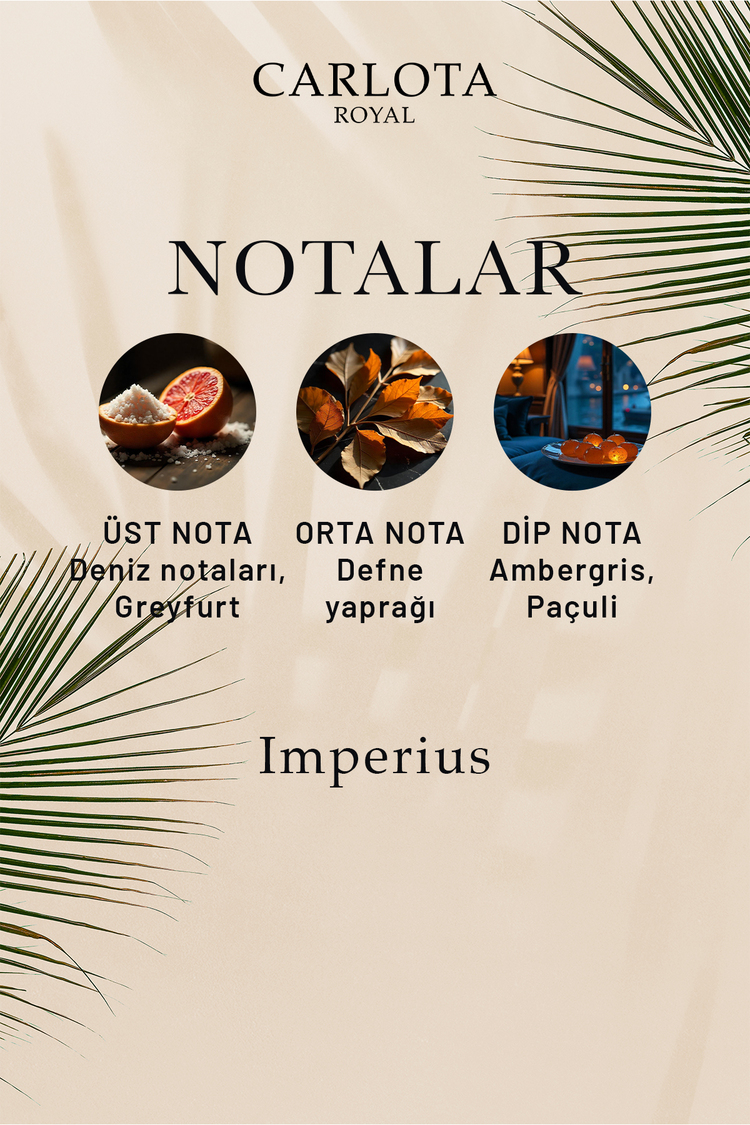 Imperius Erkek Parfümü 50 ML