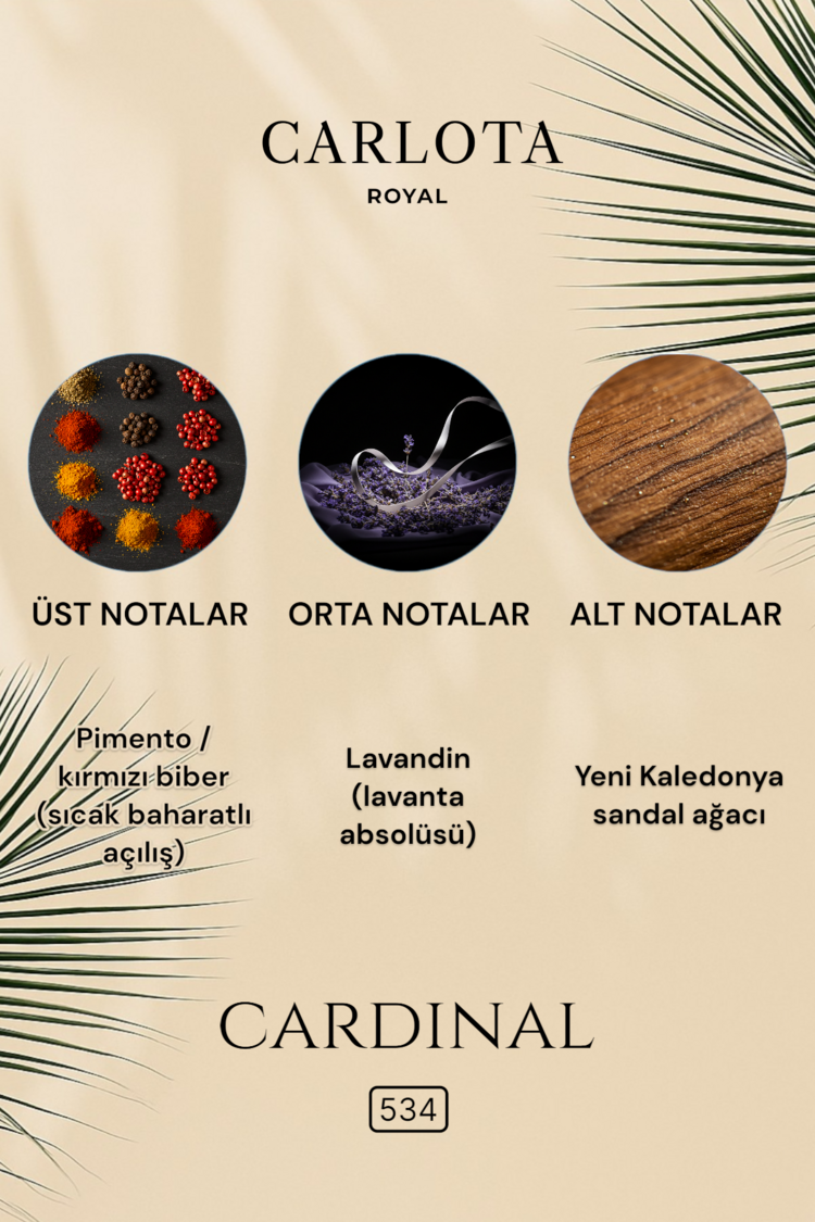 Cardinal Erkek Parfüm 50 ML