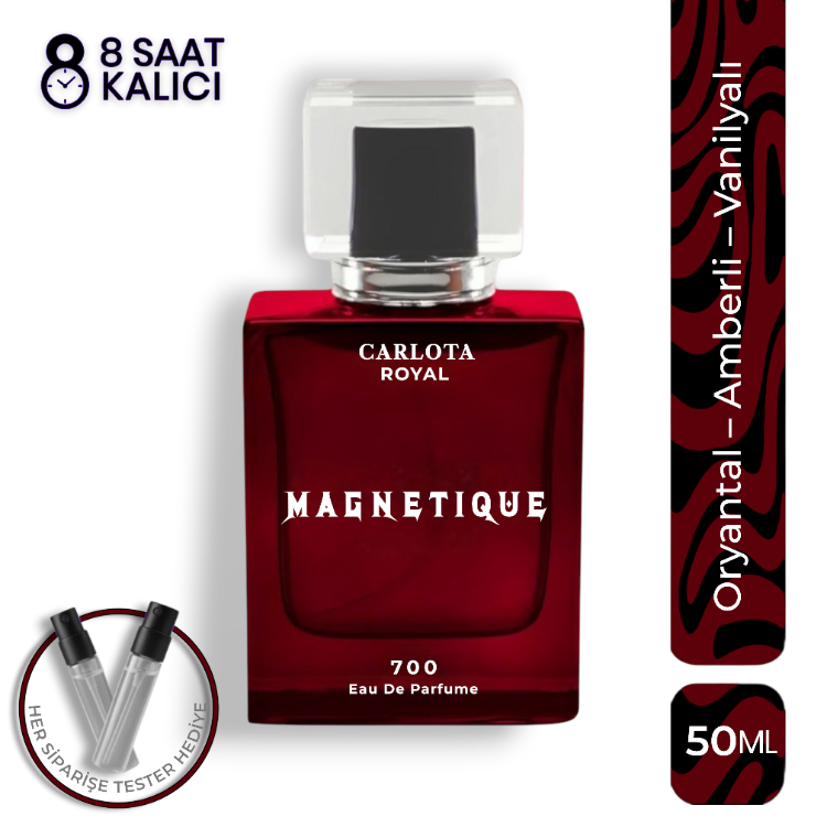 MAGNETIQUE Erkek Parfüm 50 ML