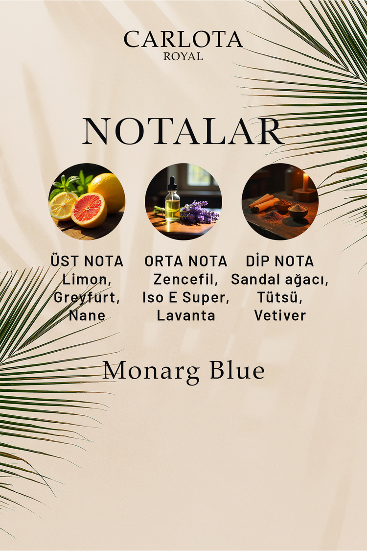 Monarg Blue Erkek Parfüm 50 ML