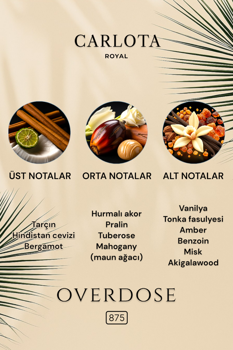 OVERDOSE Erkek Parfüm 50 ML