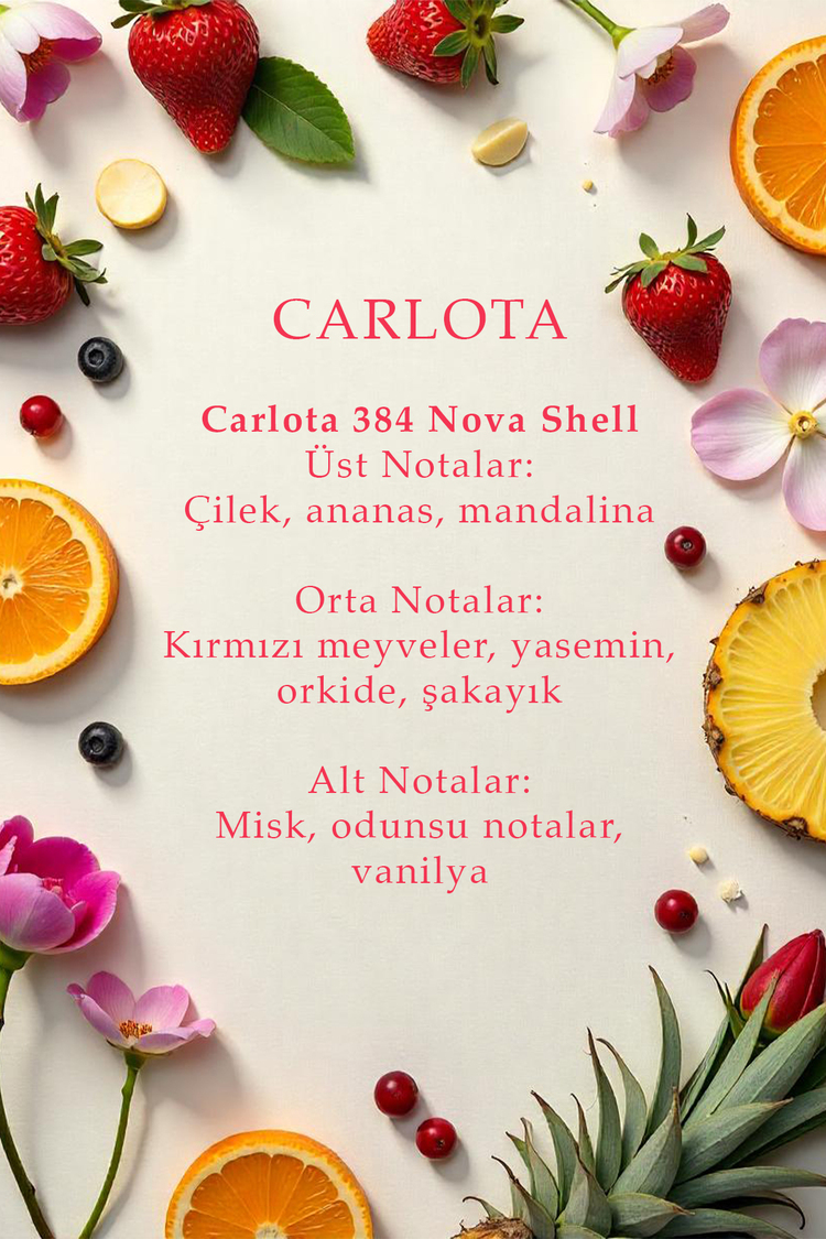 Carlota Nova Shell Kadın Parfüm 50 ML