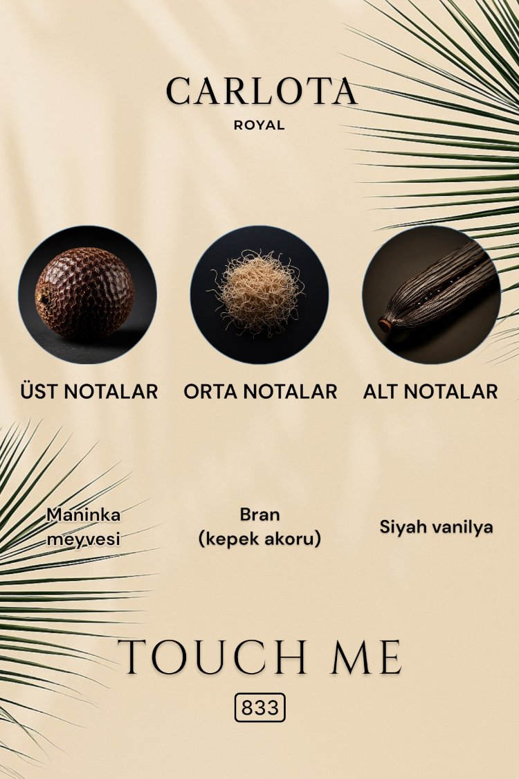 TOUCH ME Erkek Parfüm 50 ML