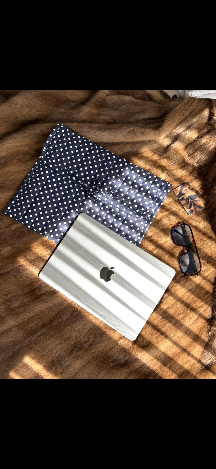 Midnight Navy Polka