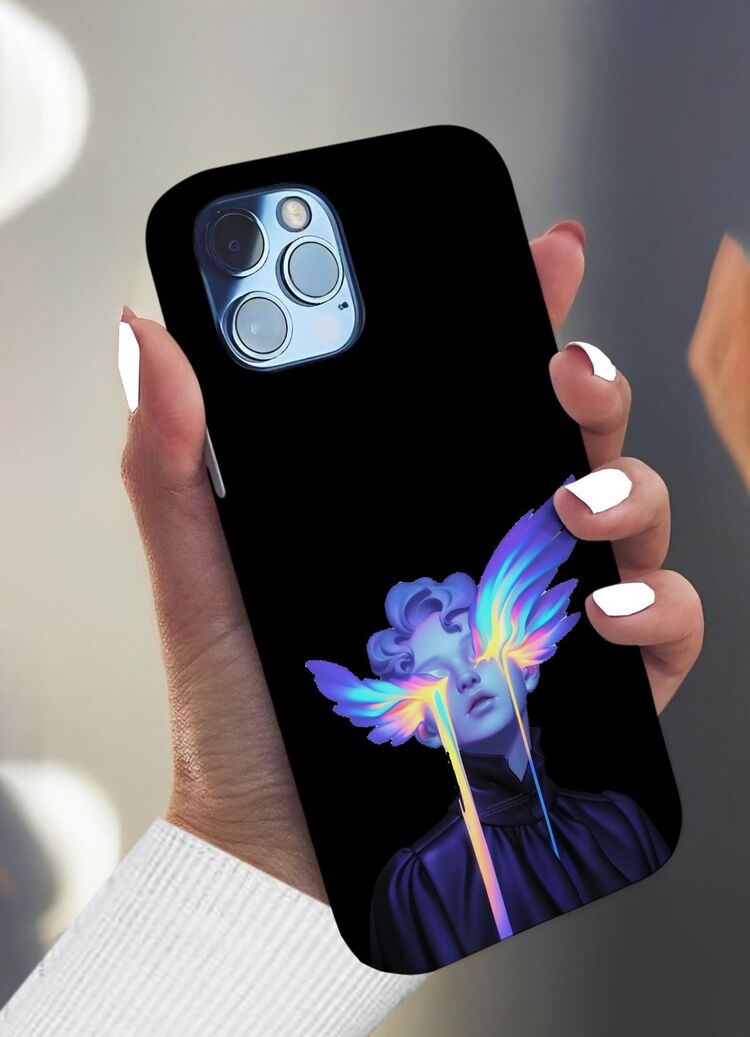 fairy case