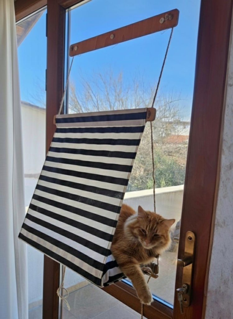 Pencere Önü Minderli Kedi Hamağı