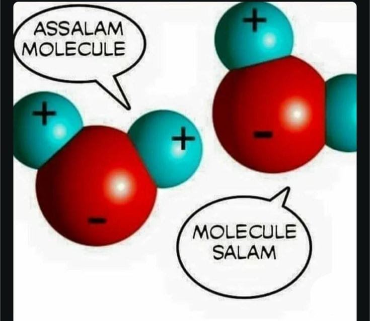 Bağış yapabilirsiniz 