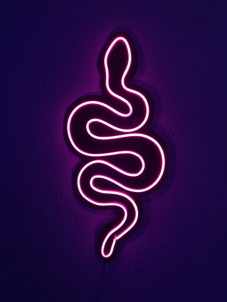 Yılan görseli neon pleksi