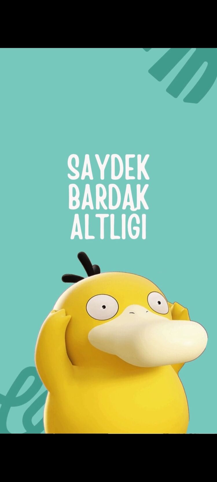Saydek bardak altlığı