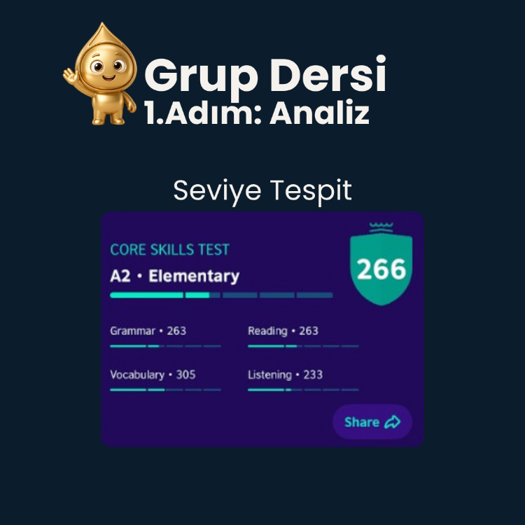 Dönüşüm Programı