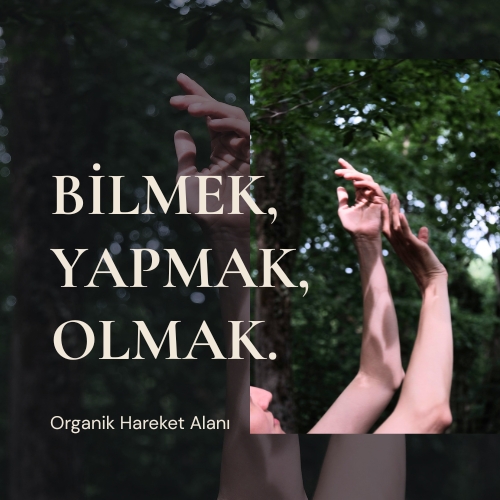 Organik Hareket Alanı | Bilmek, Yapmak, Olmak. — Somatik Hareket Pratiği