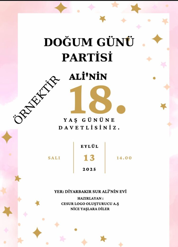 DOĞUM GÜNÜ PARTİSİ POSTERİ 