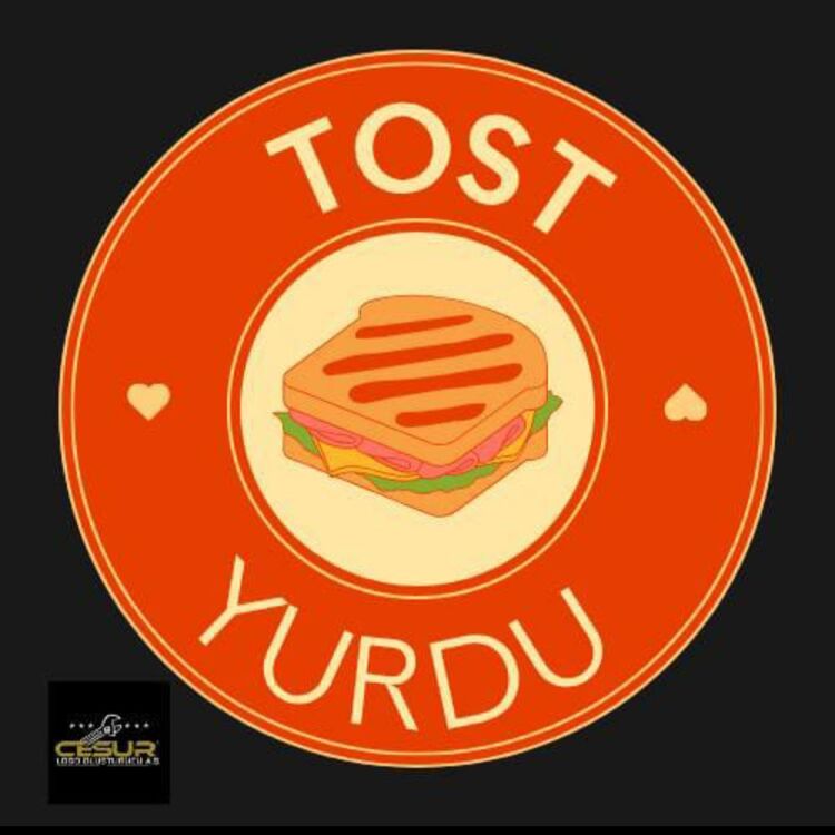 SINIRLI LOGO PAKETİ 