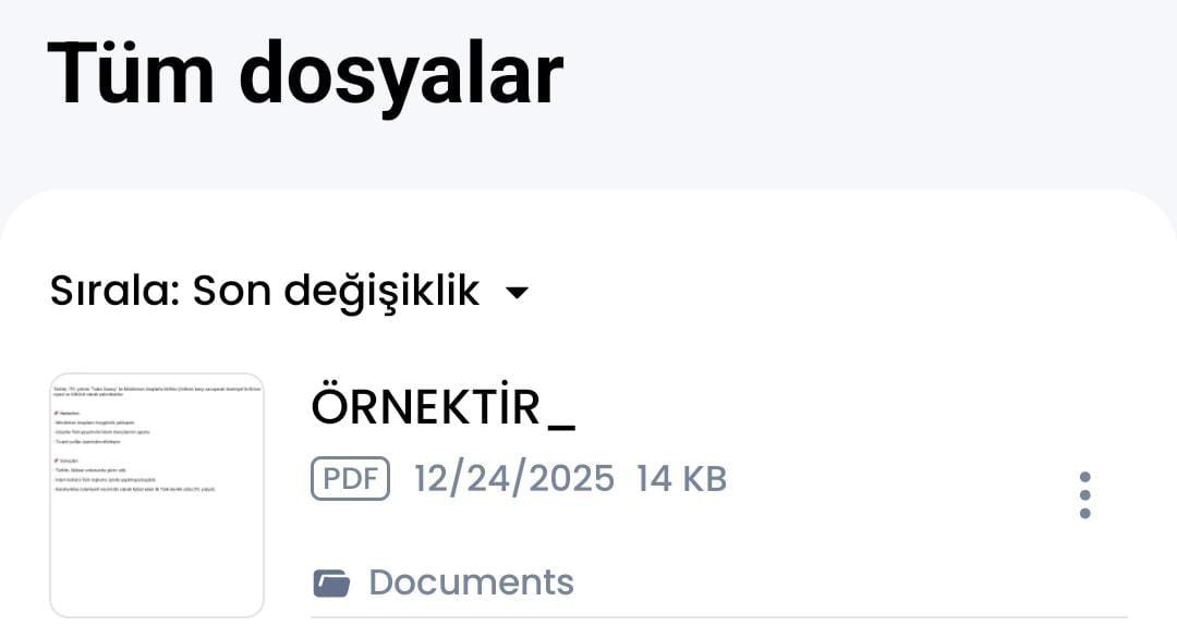 ANINDA PDF DÖNÜŞÜM HİZMETİ 