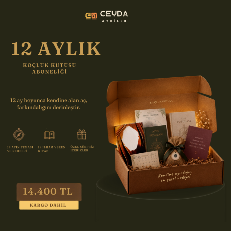 1 Yıllık Koçluk Kutusu Aboneliği