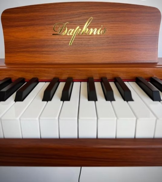 DAPHNIS DP-118 DİJİTAL PİYANO
