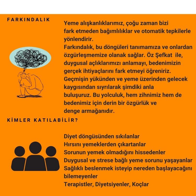 Duygusal Yeme Eğitimi (Canlı/Online)
