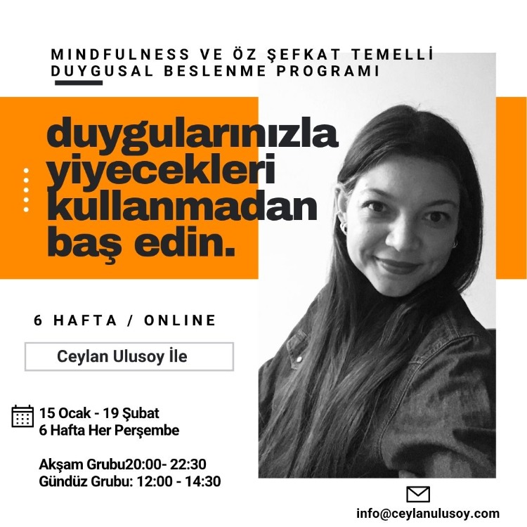 Duygusal Yeme Eğitimi (Canlı/Online)