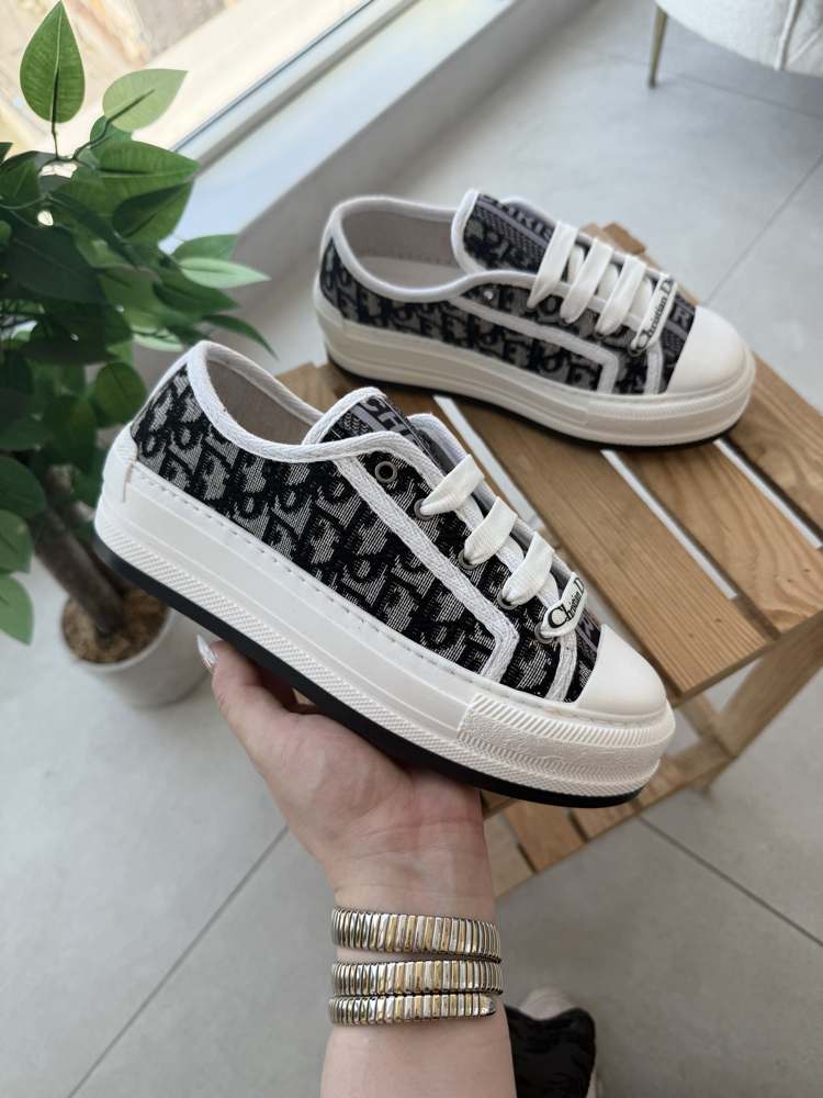 Christian dior premium