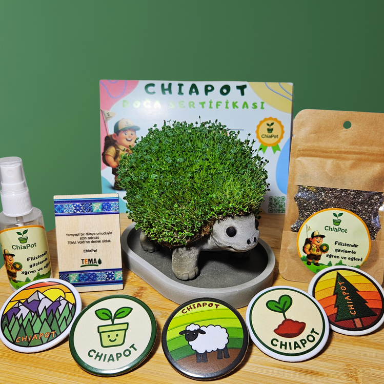 ChiaPot Kaplumbağa Etkinlik Seti
