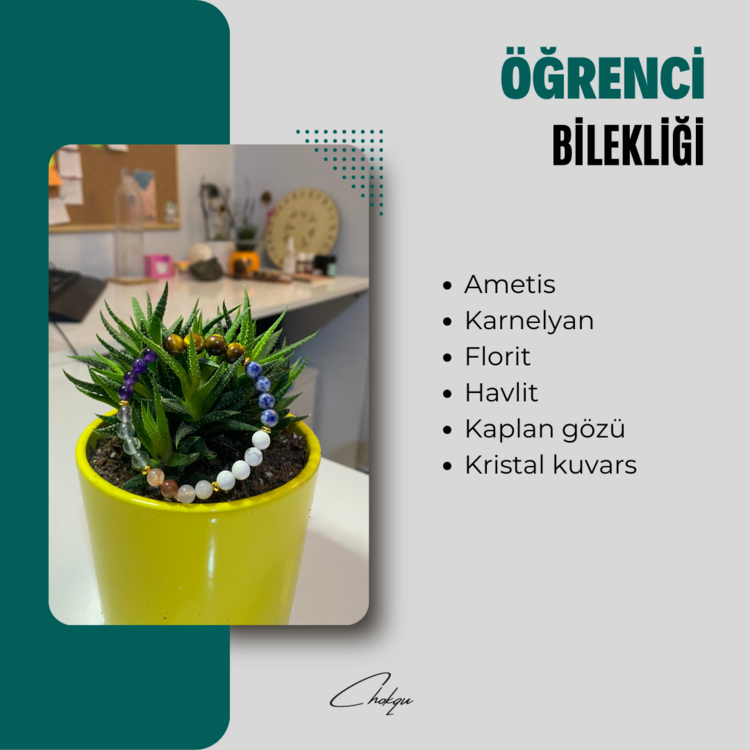 ÖĞRENCİ BAŞARI BİLEKLİĞİ