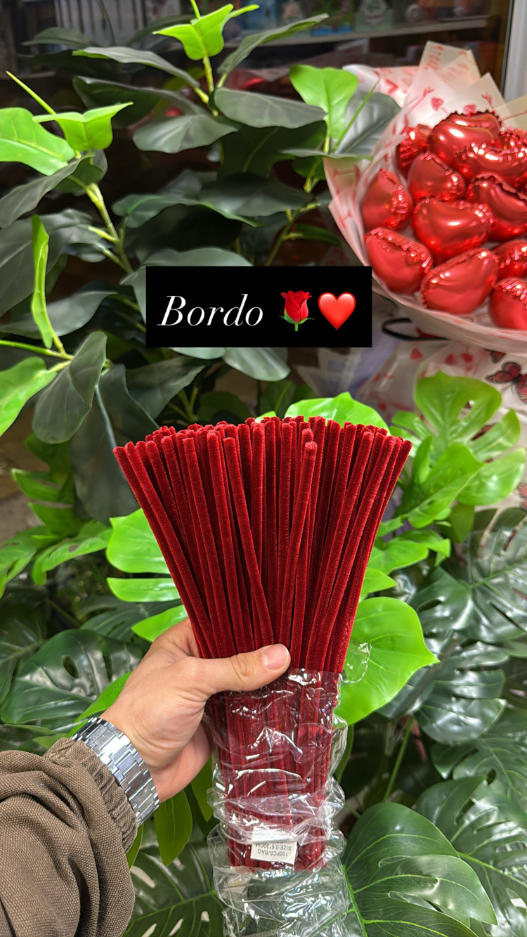 Bordo şönil 