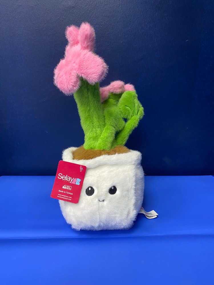 Peluş Kaktüs