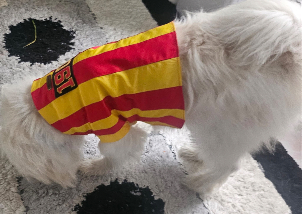 Galatasaray Forması 