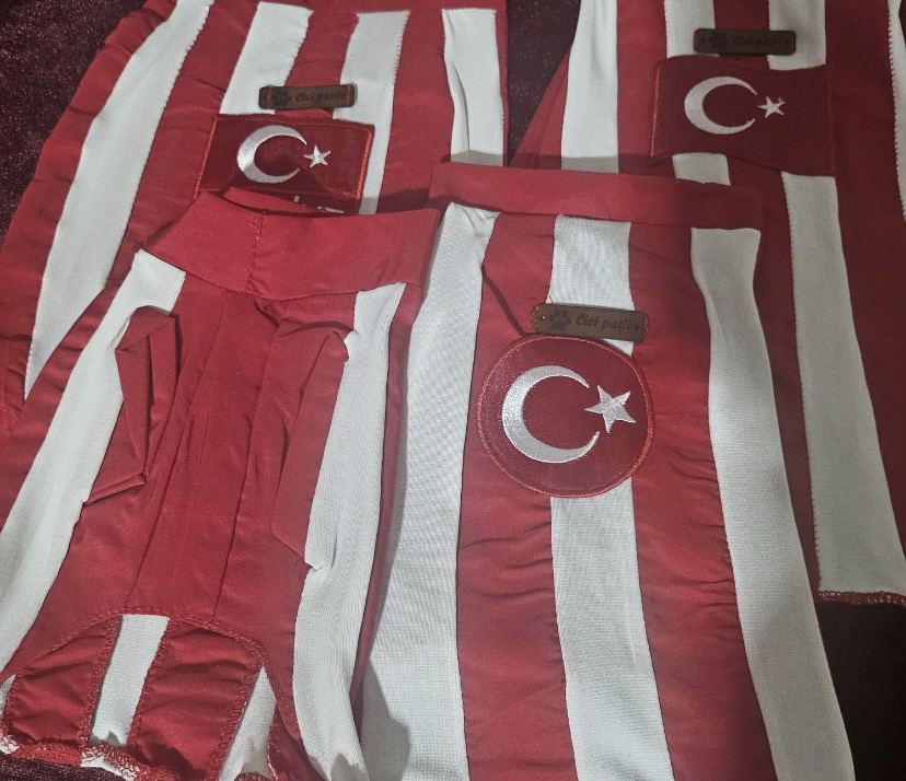 Türkiye Forması 