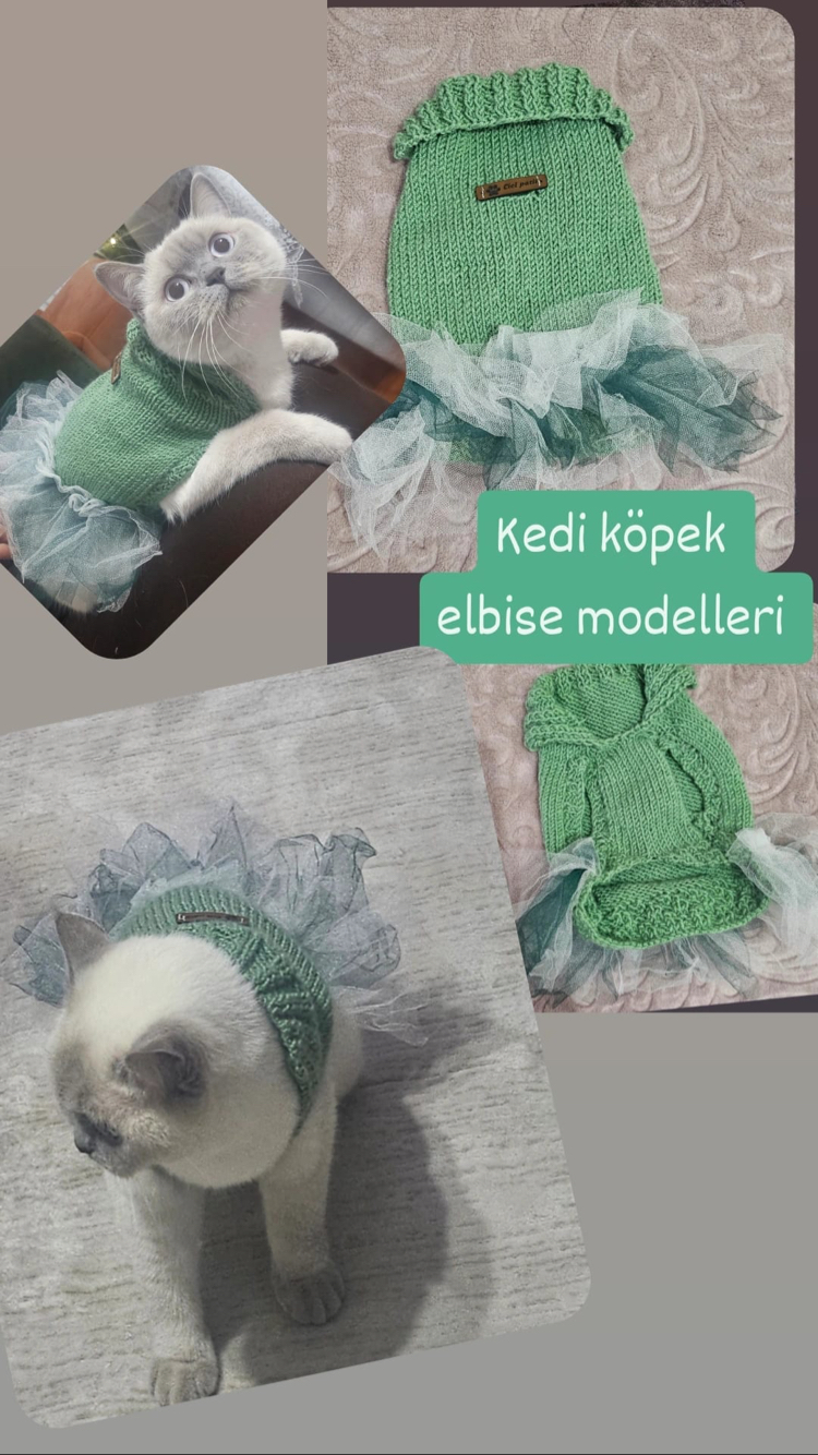 Kışlık Elbise