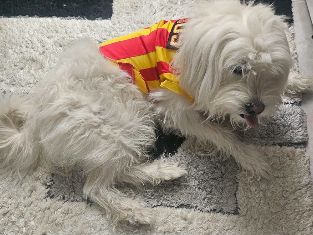 Galatasaray Forması 