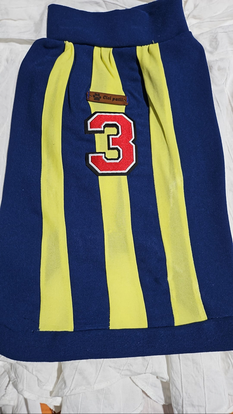 Fenerbahçe Forması 