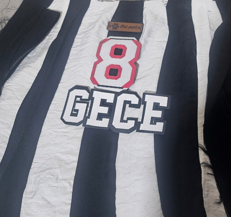 Beşiktaş Forması 