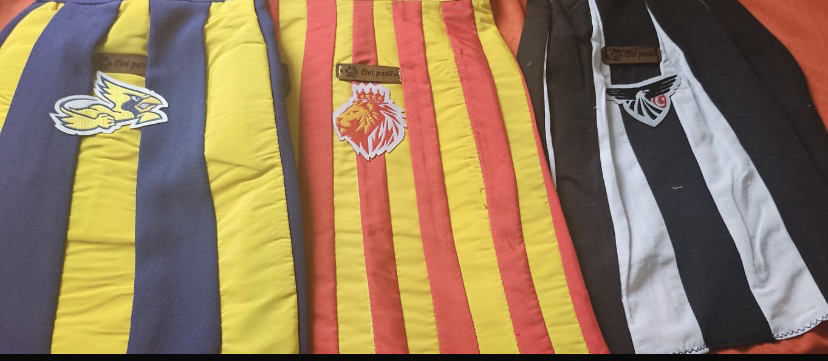 Galatasaray Forması 