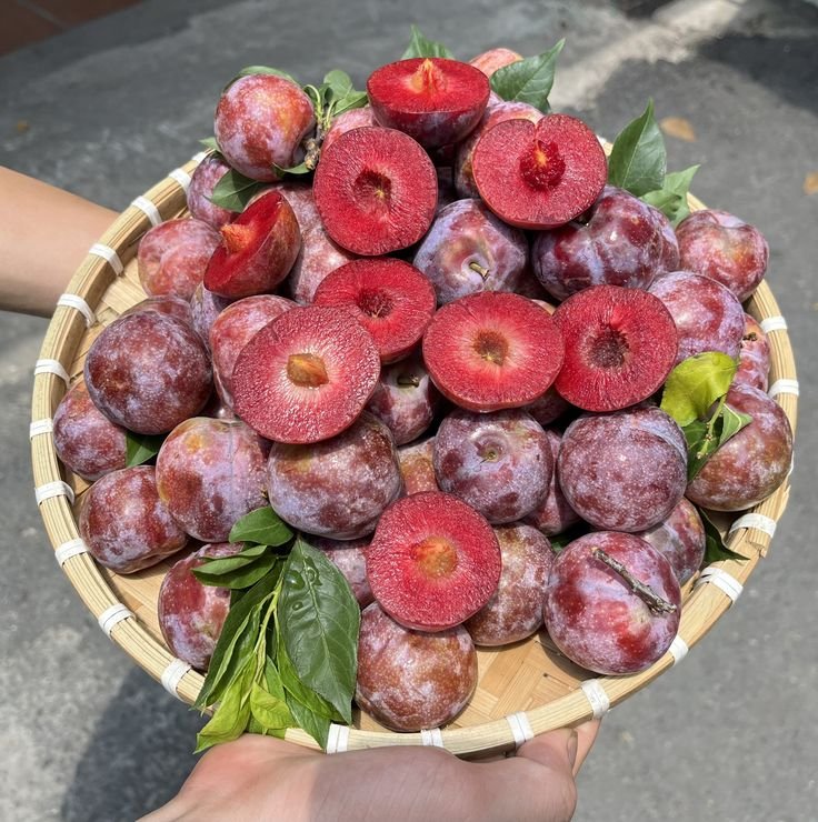 kırmızı kan erik(1kg)