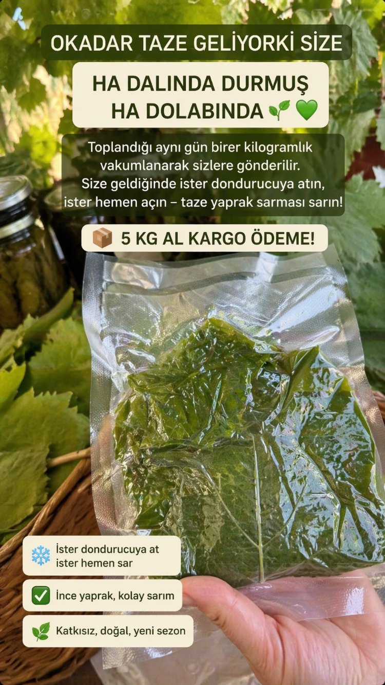 5 kilo vakumlu taze yaprak kargo bedava
